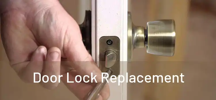  Door Lock Replacement 