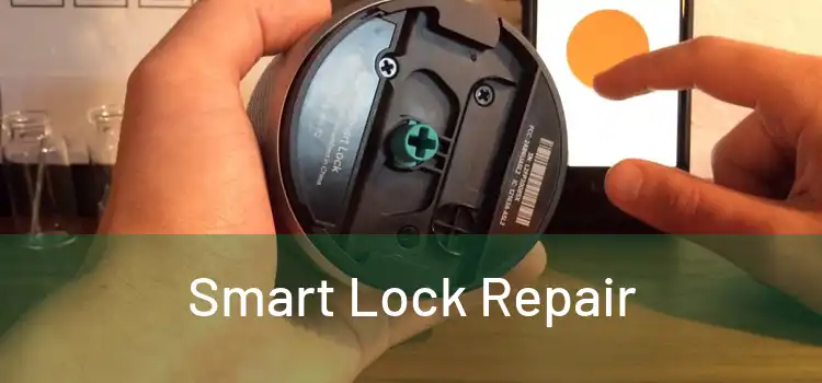  Smart Lock Repair 